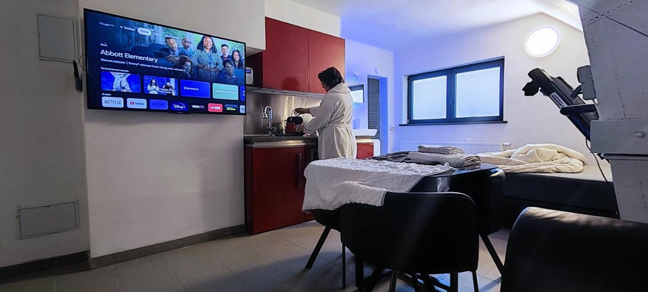 Logeerkamer Xxl 25 M2 *
