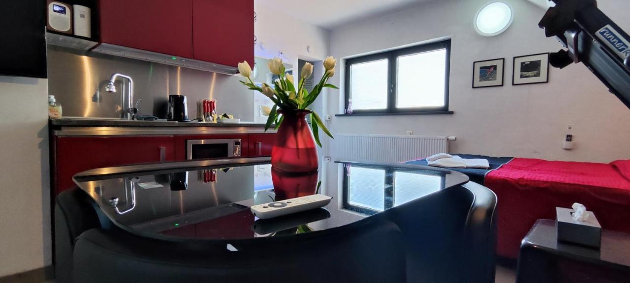 Apartment Logeerkamer Xxl 25 M2 Zemst