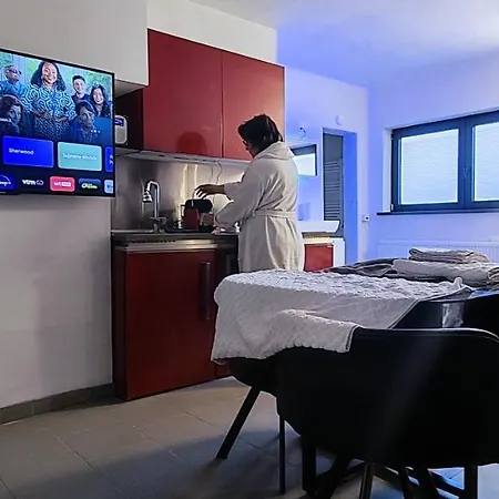Logeerkamer Xxl 25 M2 Zemst Exterior foto