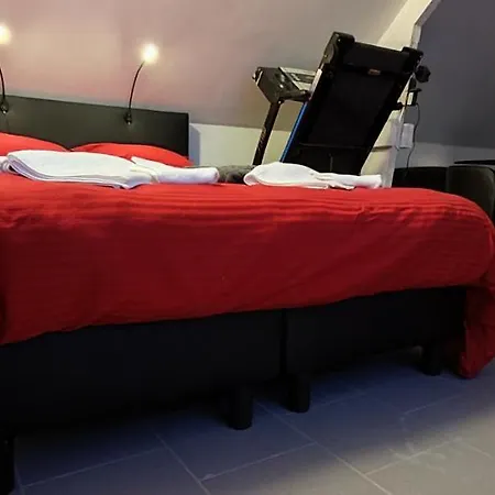 Logeerkamer Xxl 25 M2 Zemst Exterior foto