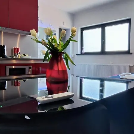 Logeerkamer Xxl 25 M2 Zemst Exterior foto