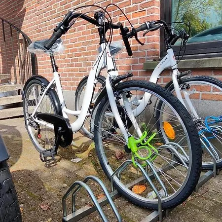 Logeerkamer Xxl 25 M2 Zemst Exterior foto